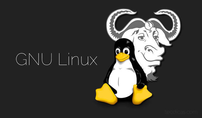 Figura 36. GNU Linux.